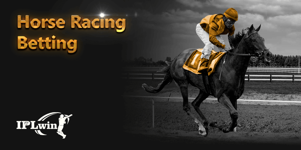 Jogo online casino